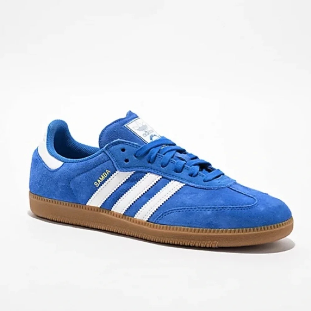 adidas Samba ADV Bluebird, White & Gum Skate Shoes - Picture 1 of 12